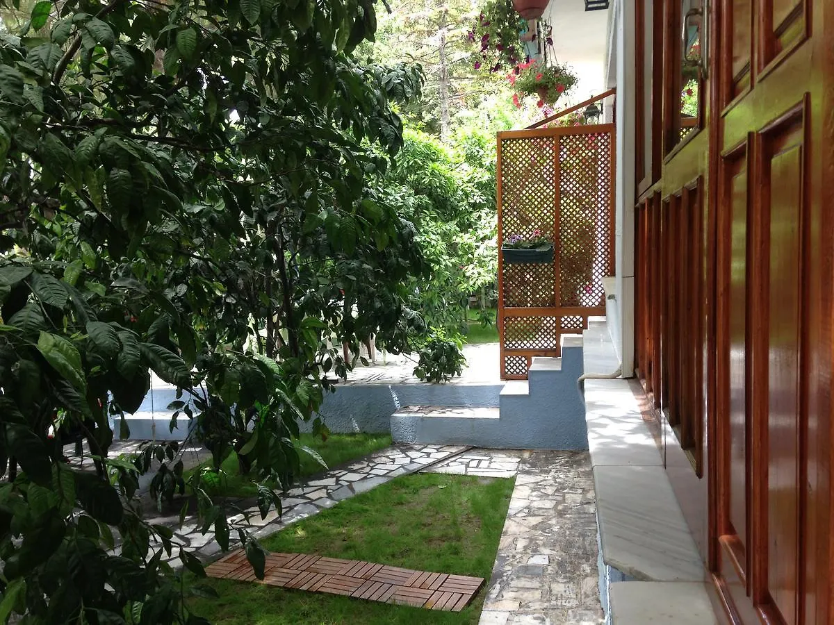 Pekcan Otel Орен 2*,